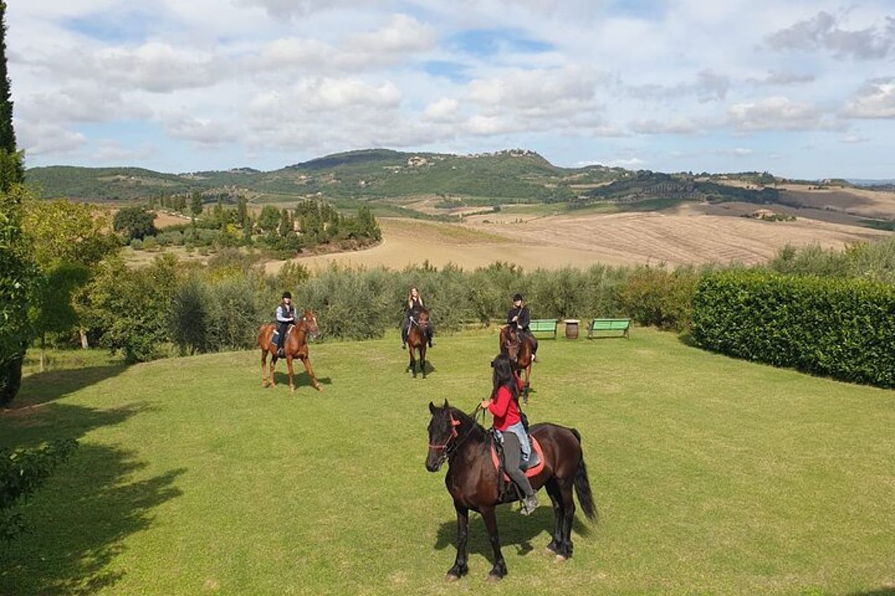 Passeggiata a cavallo tra le vigne a Montepulciano Toscana — 3
