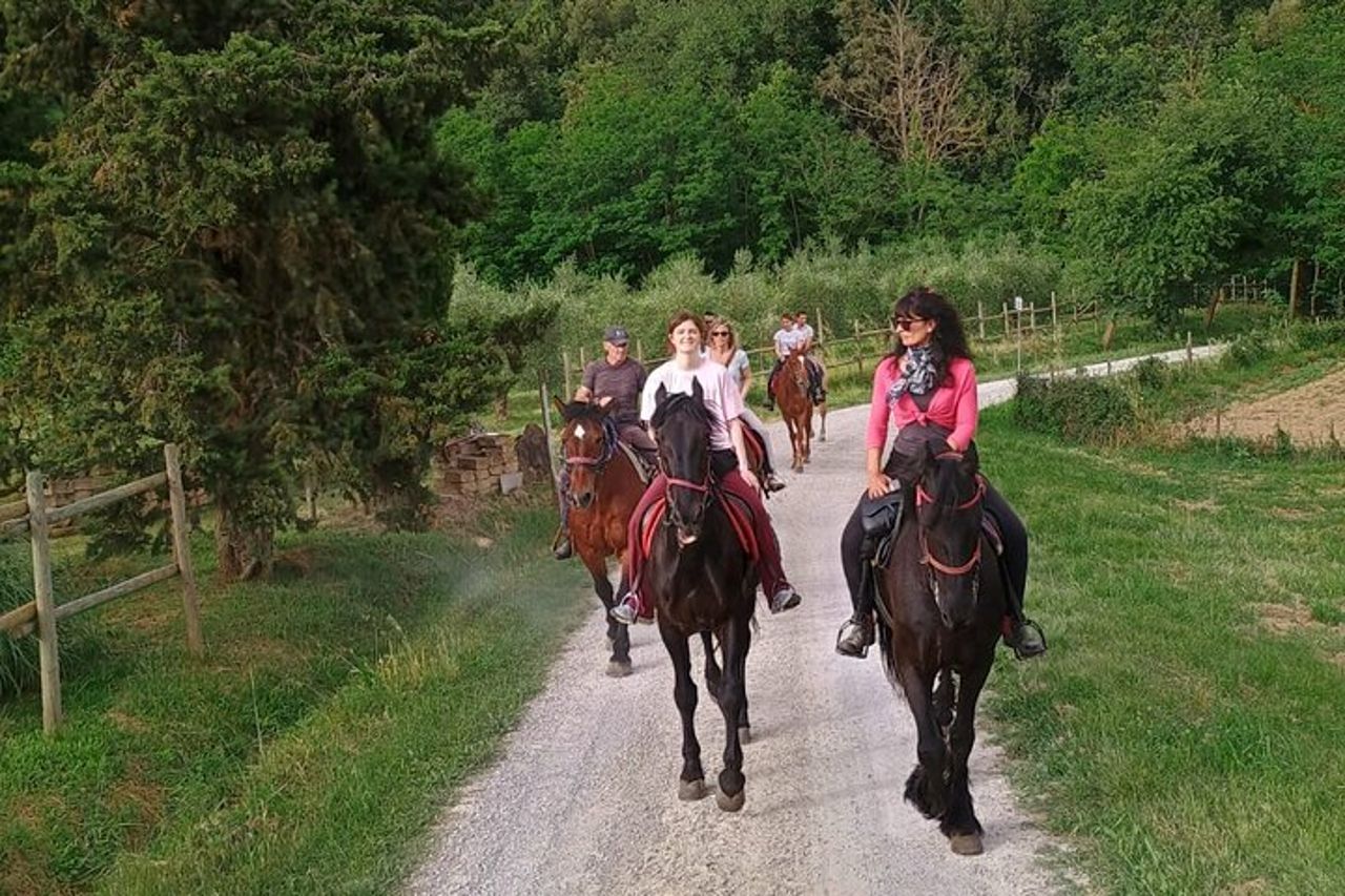 Passeggiata a cavallo tra le vigne a Montepulciano Toscana — 2