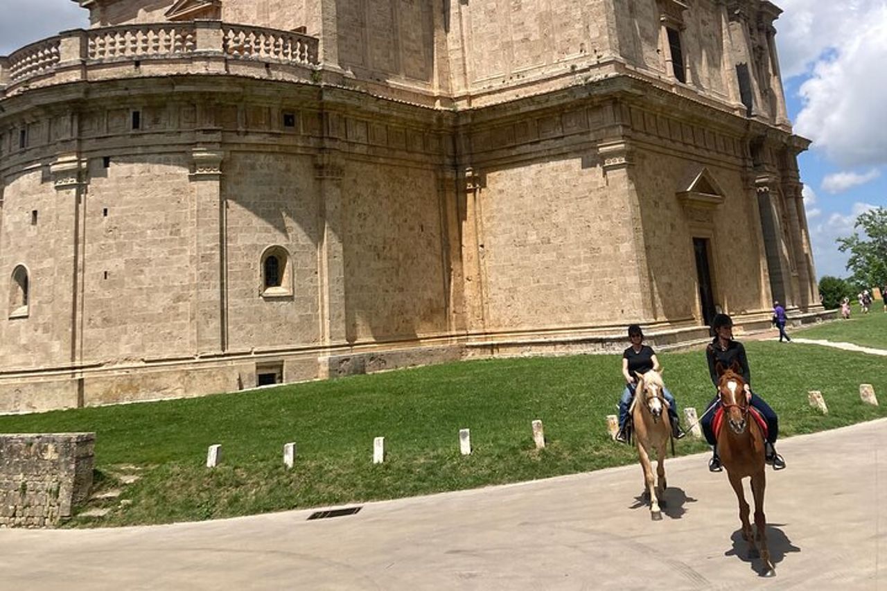 Passeggiata a cavallo tra le vigne a Montepulciano Toscana — 4