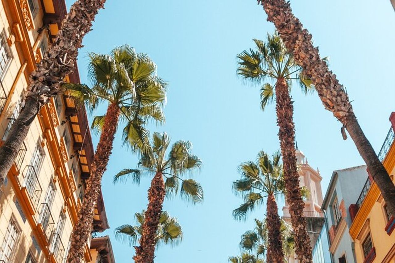 Esplora Marbella in 60 minuti con un Local — 7