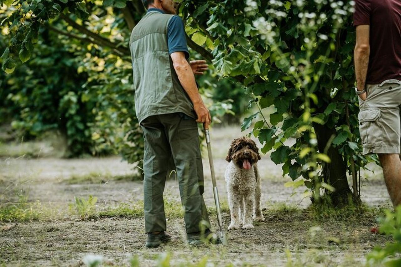 Alla ricerca del Tartufo d'Alba - La caccia più autentica — 8