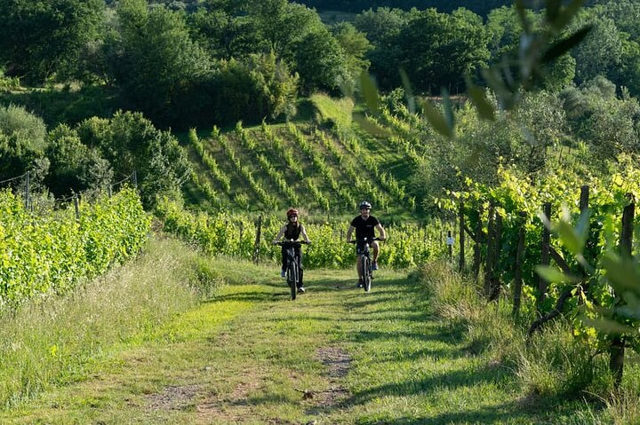 Da Lucca Tour In E Bike E Degustazione Vini Nel Chianti