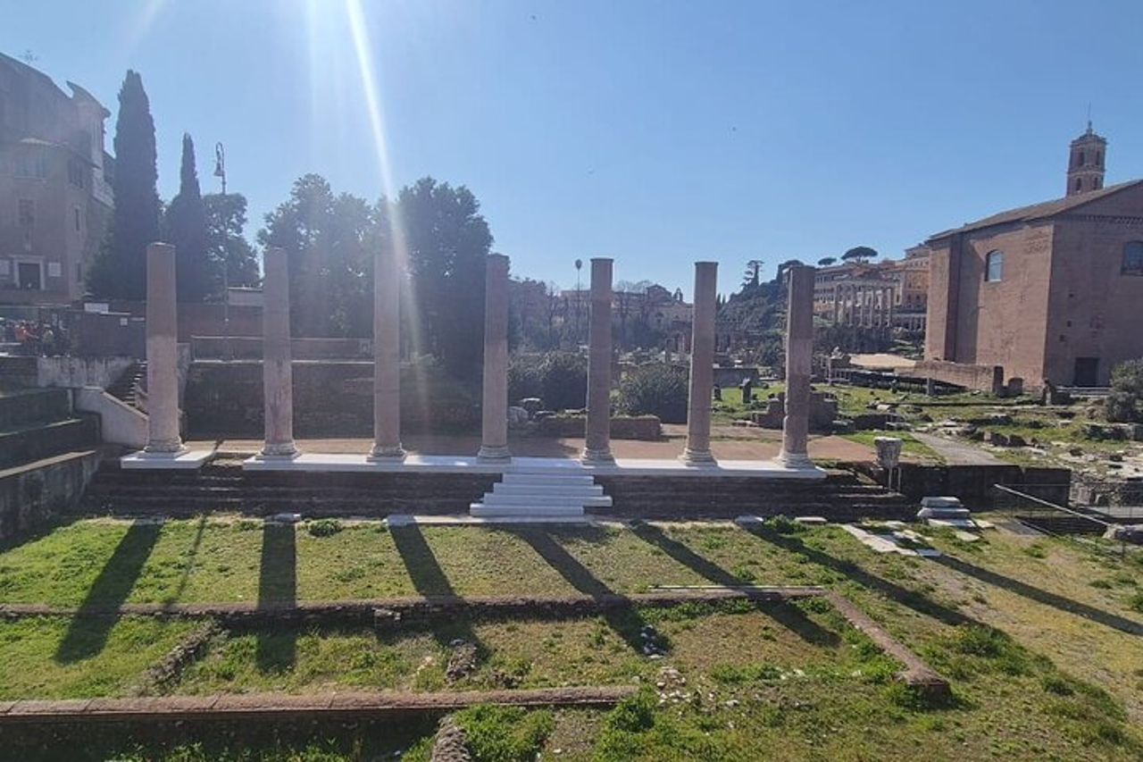Tour privato guidato completo del Colosseo Foro Romano e Palatino — 8