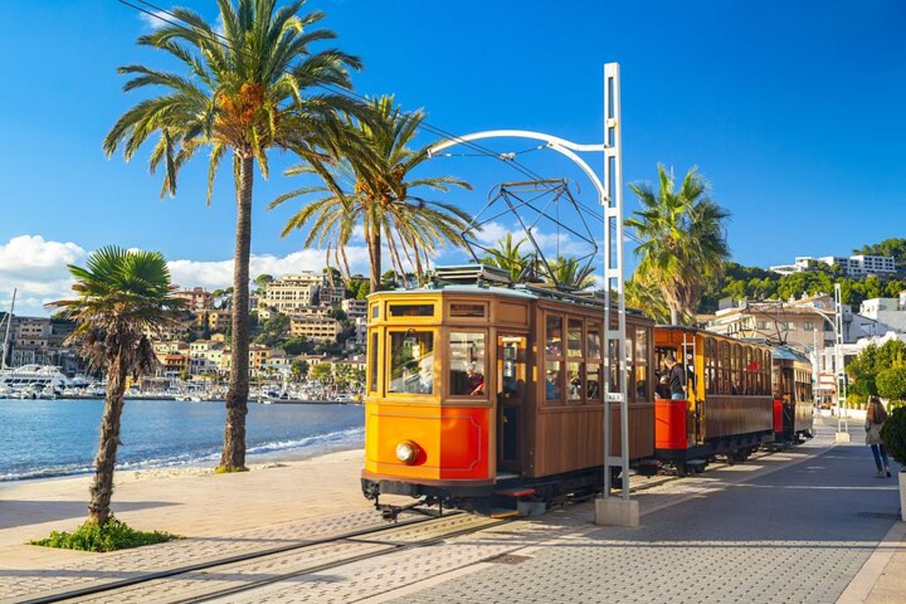 Miglior tour di Palma di Maiorca e ValLdemossa dal porto delle crociere — 2