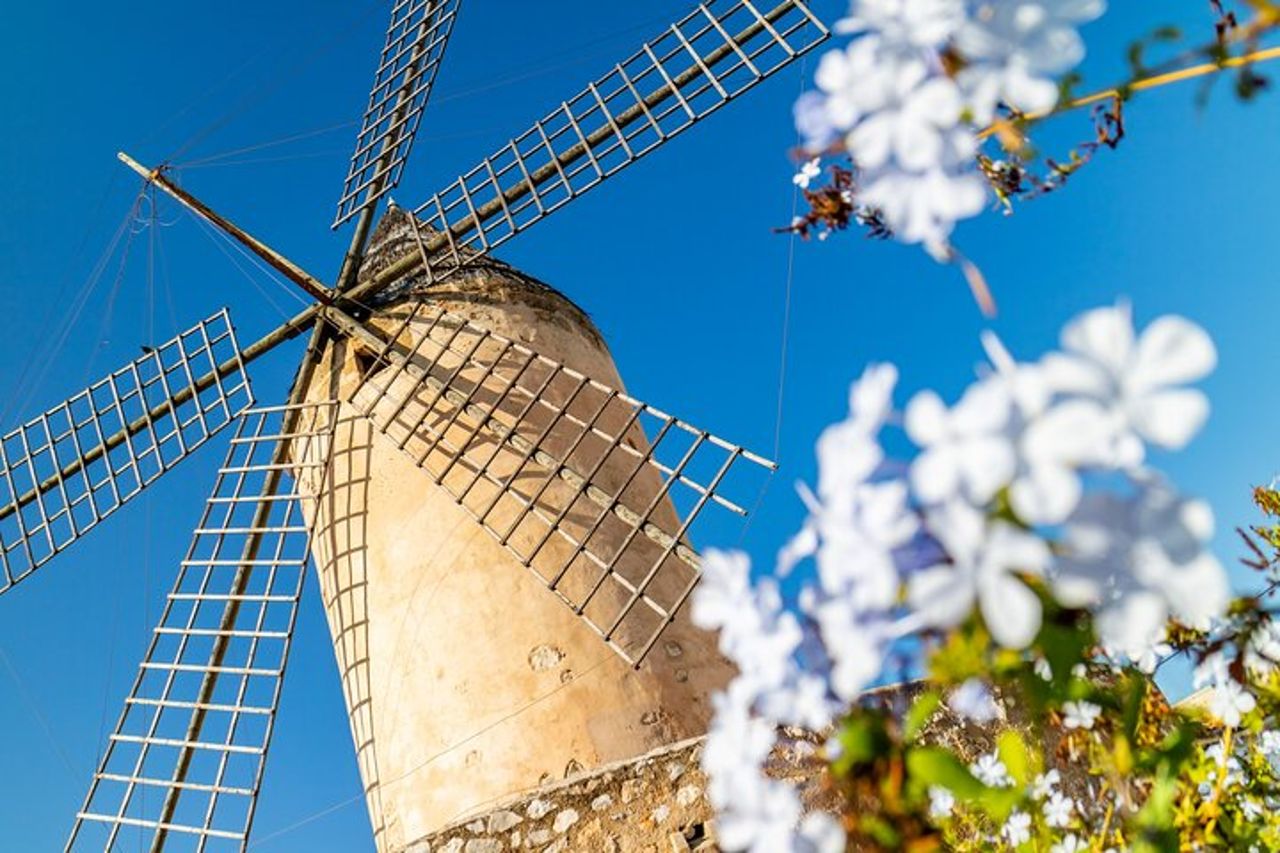 Miglior tour di Palma di Maiorca e ValLdemossa dal porto delle crociere — 3