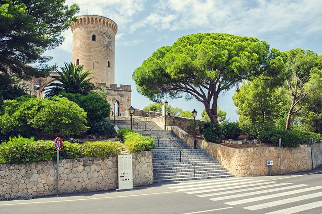 Miglior tour di Palma di Maiorca e ValLdemossa dal porto delle crociere — 8