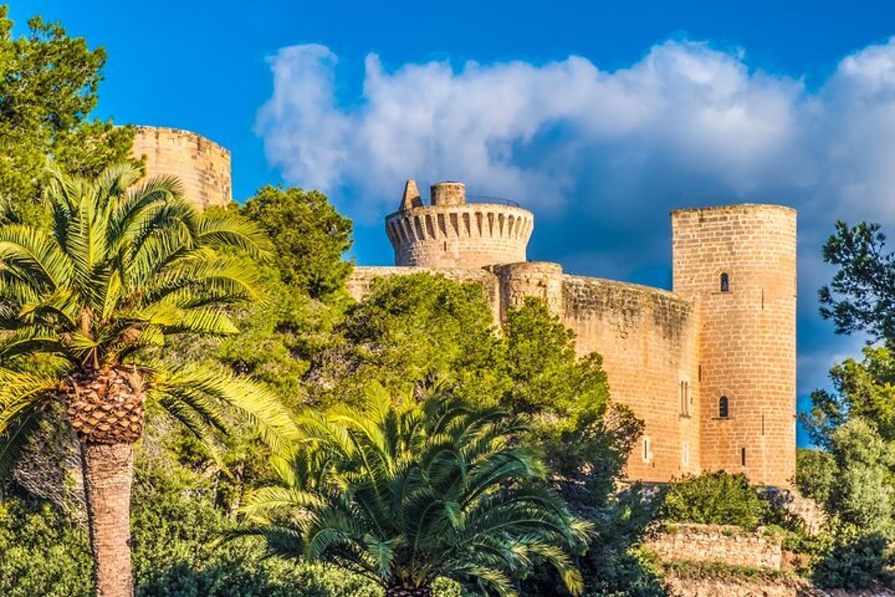 Tour di lusso a Palma di Maiorca e Valldemossa — 2