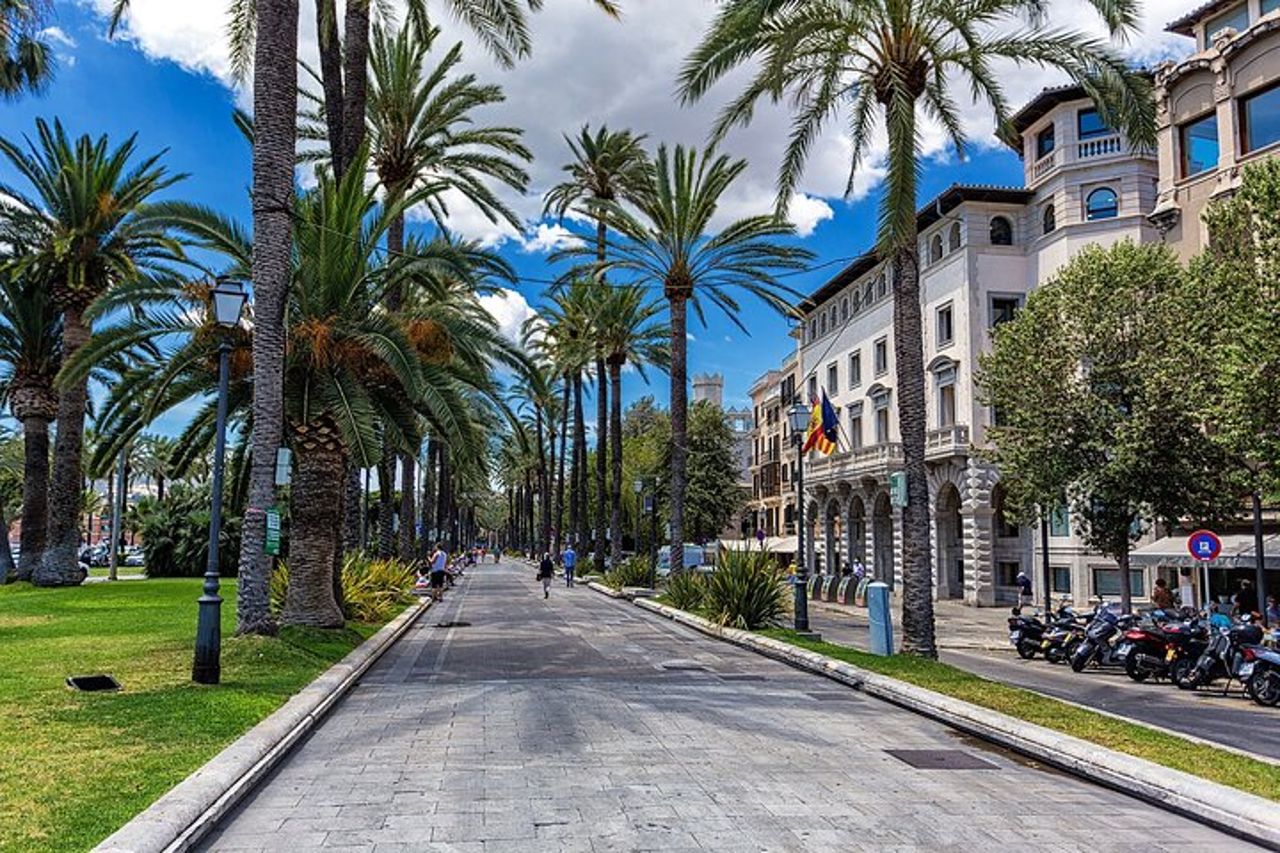 Palma di Maiorca e Valldemossa Escursione dal Porto Crociere — 7
