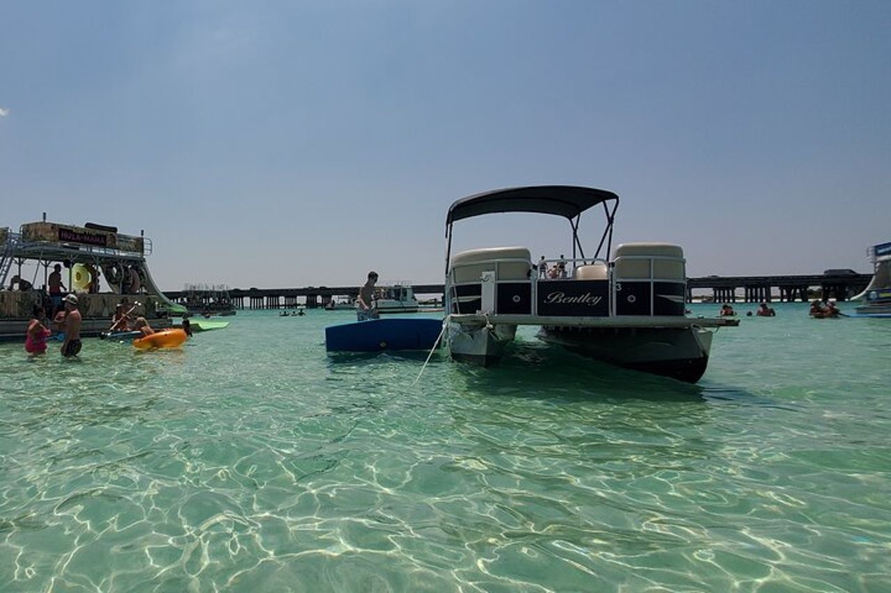 Crab Island Fun W / Lily Pad & More — 8