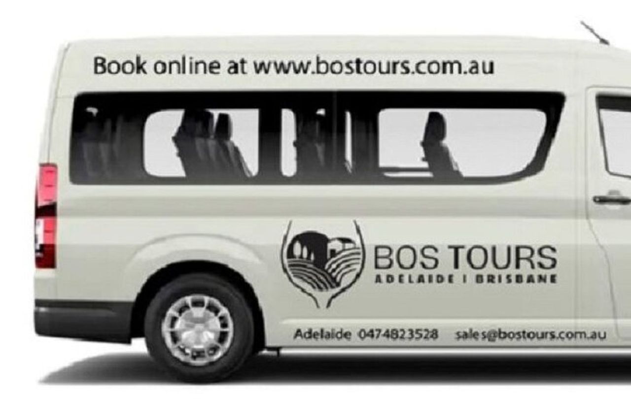 Deluxe Springbrook & Mt Tamborine Glow Worms e famoso Skywalk — 2