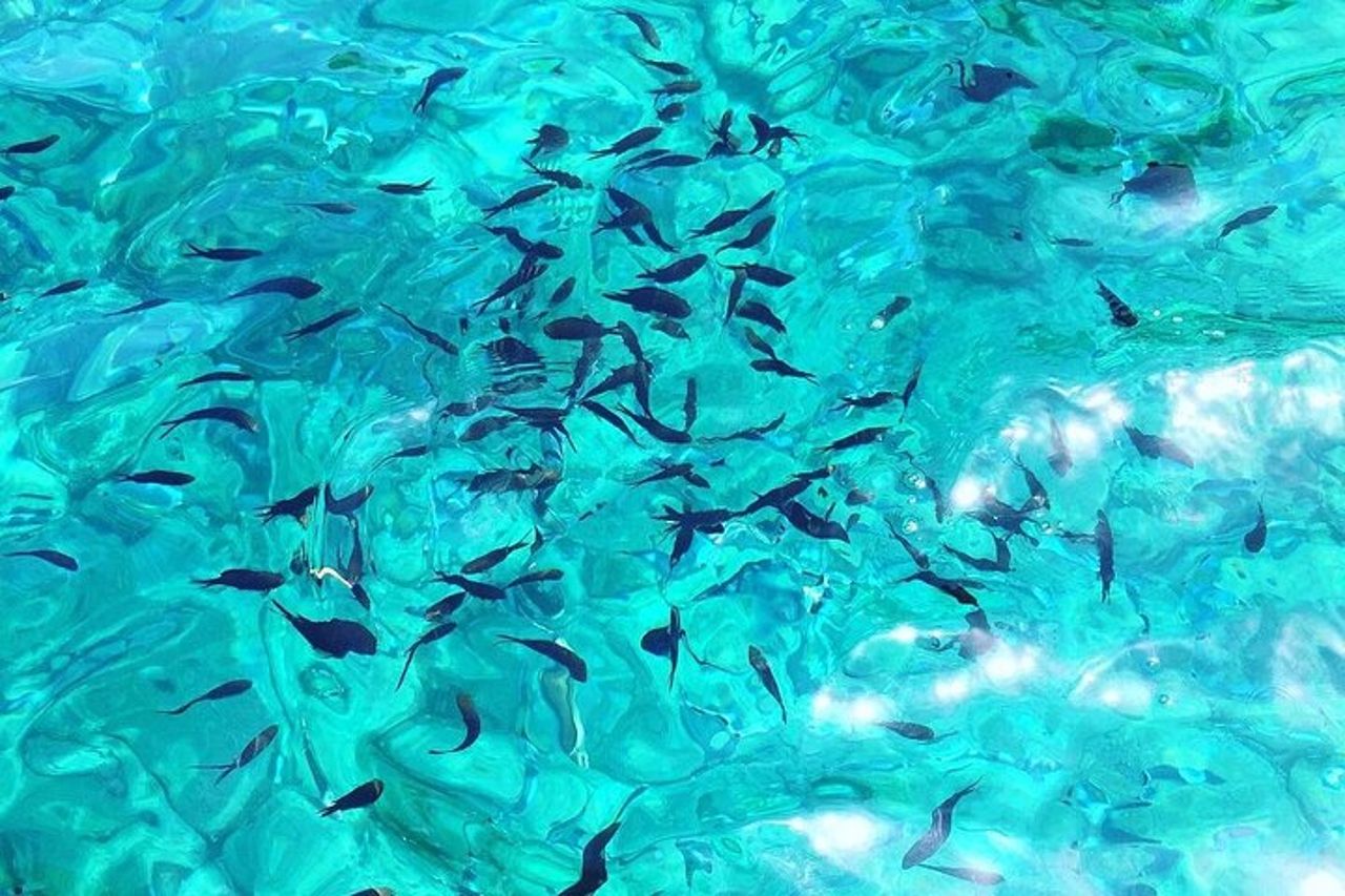 Tour in catamarano — 4