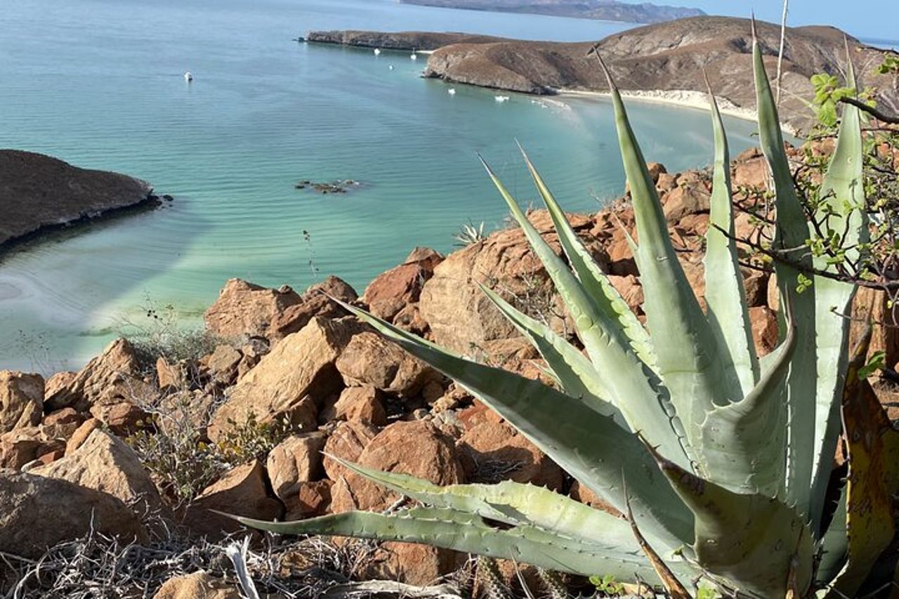 Escursione La Paz Balandra Overlook "La spiaggia più bella di MX!" — 4