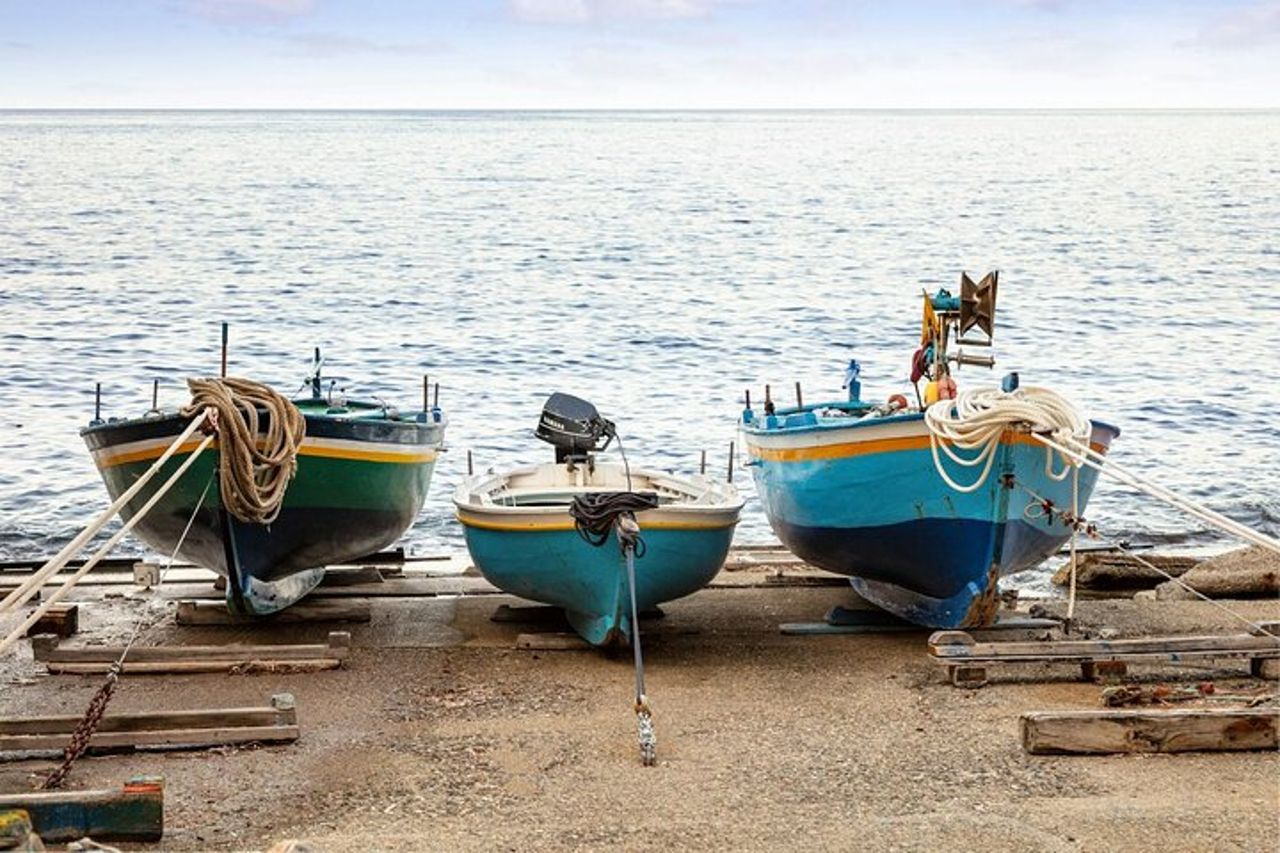 Tour di Reggio Calabria e Scilla Tour di un'intera giornata — 2