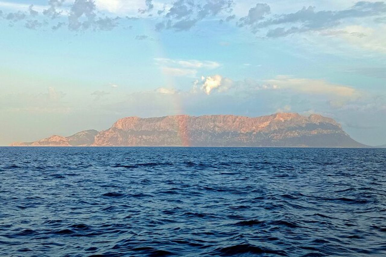 Avvistamento delfini nel Golfo di Olbia — 4