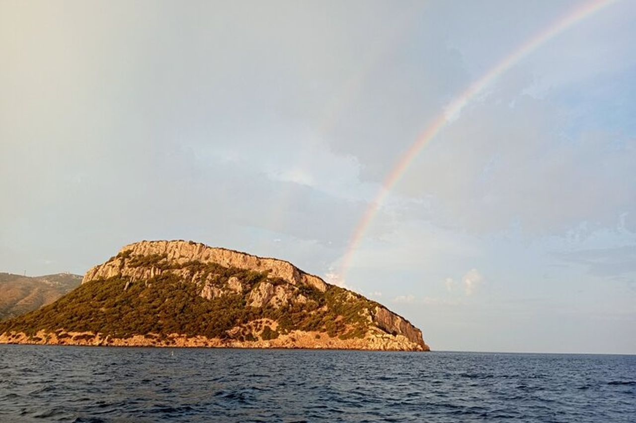 Avvistamento delfini nel Golfo di Olbia — 5