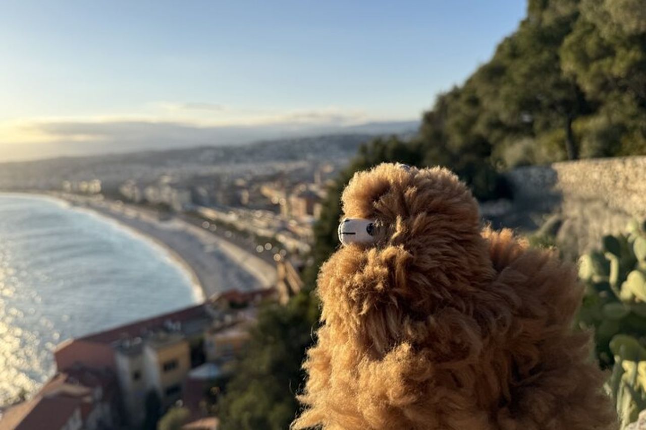 Tutta la costa azzurra in un giorno Nizza, Antibes, Cannes, Napoule, Grasse — 2