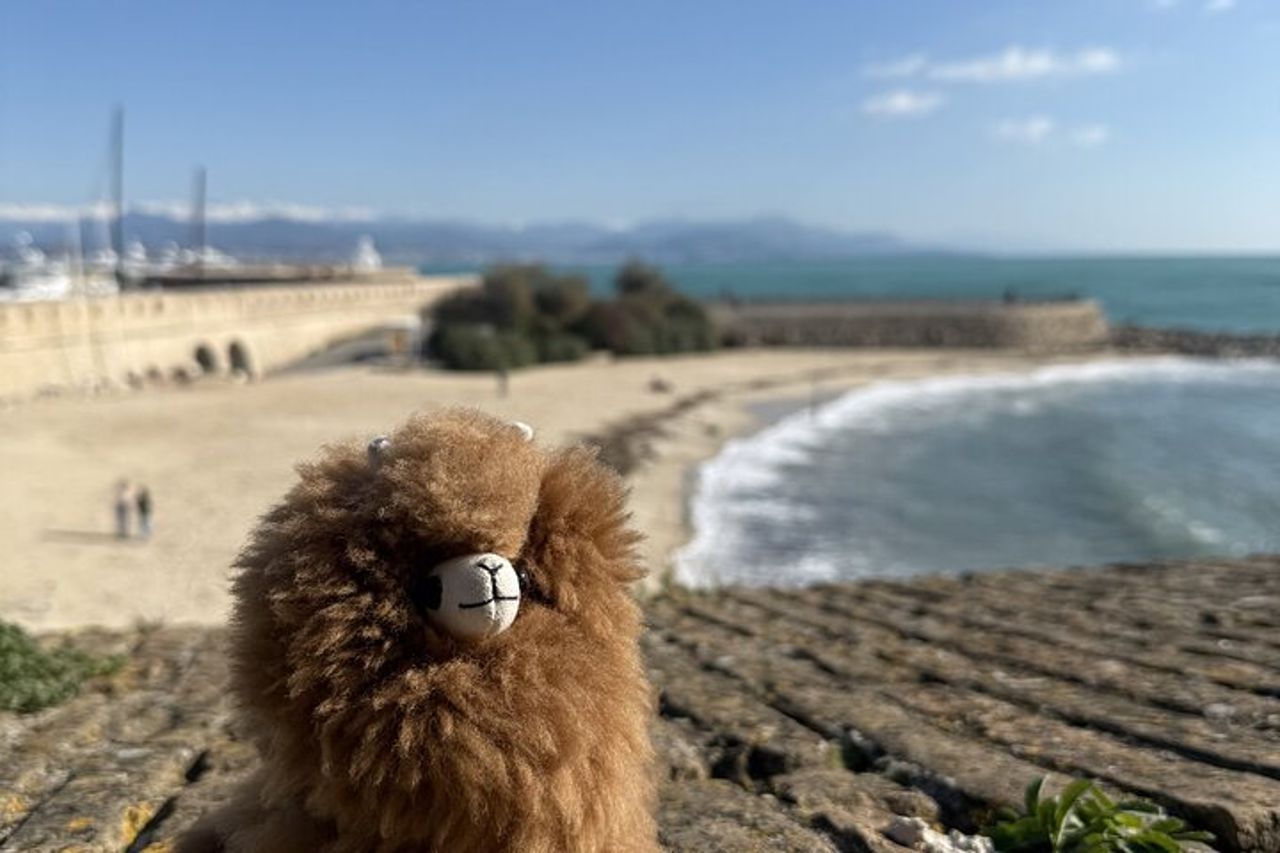 Tutta la costa azzurra in un giorno Nizza, Antibes, Cannes, Napoule, Grasse — 7