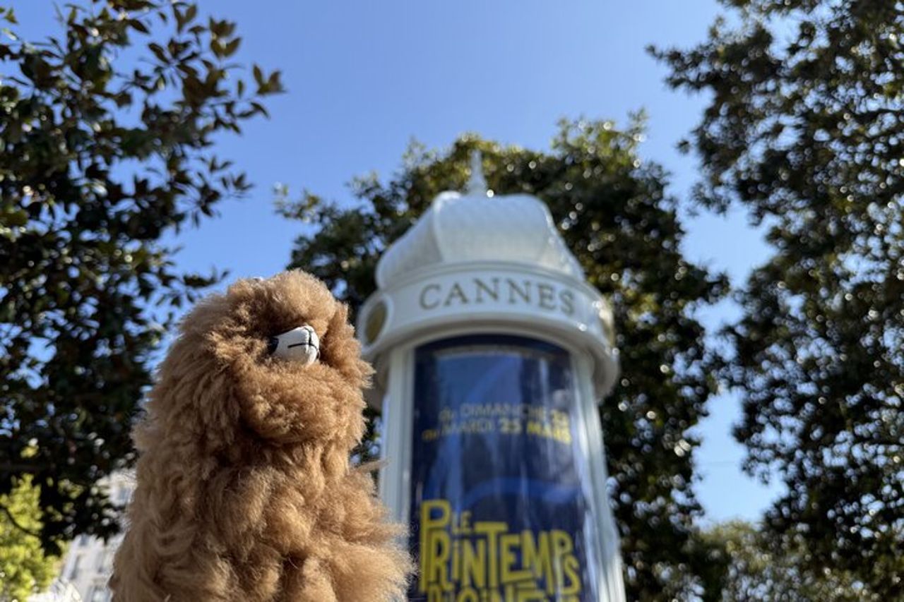 Tutta la costa azzurra in un giorno Nizza, Antibes, Cannes, Napoule, Grasse