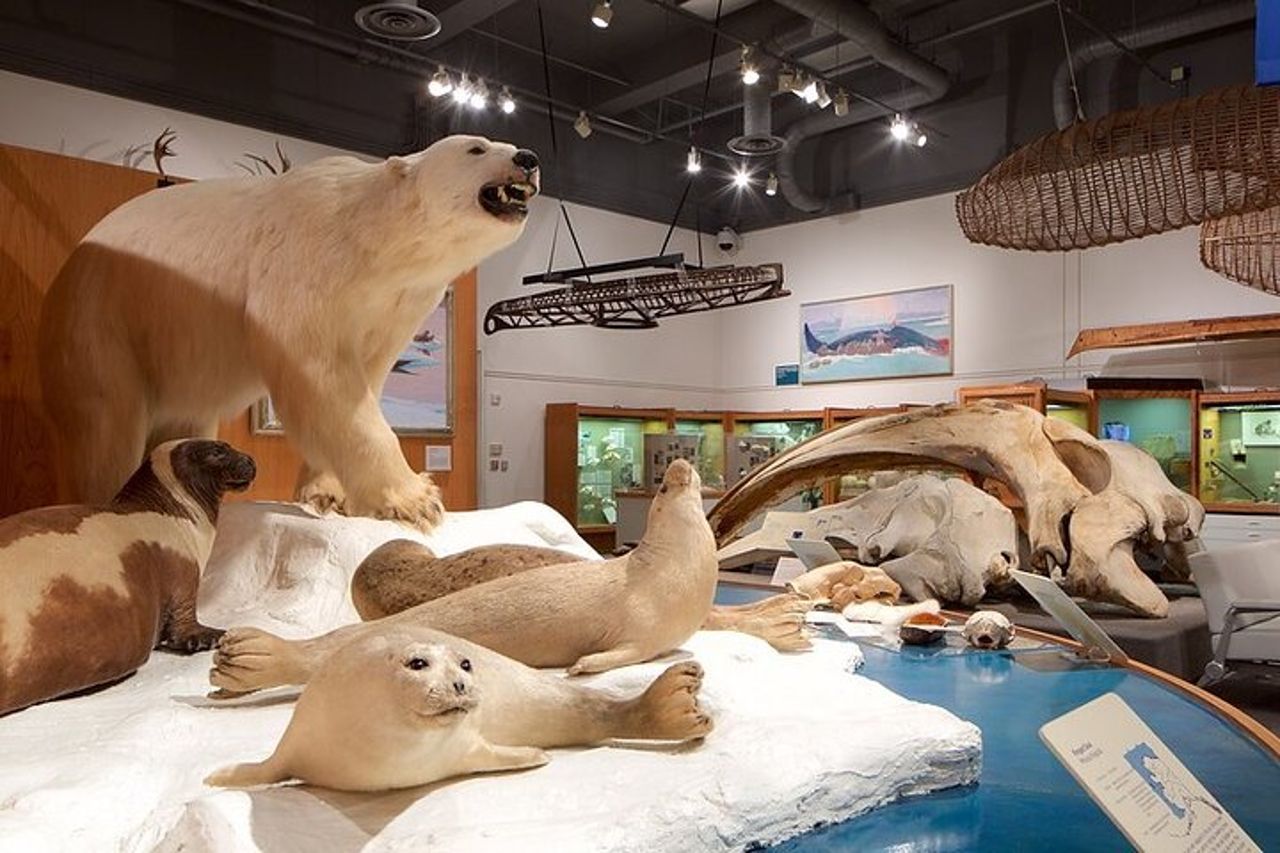 Tour estivo/autunnale delle attrazioni principali di Fairbanks — 2