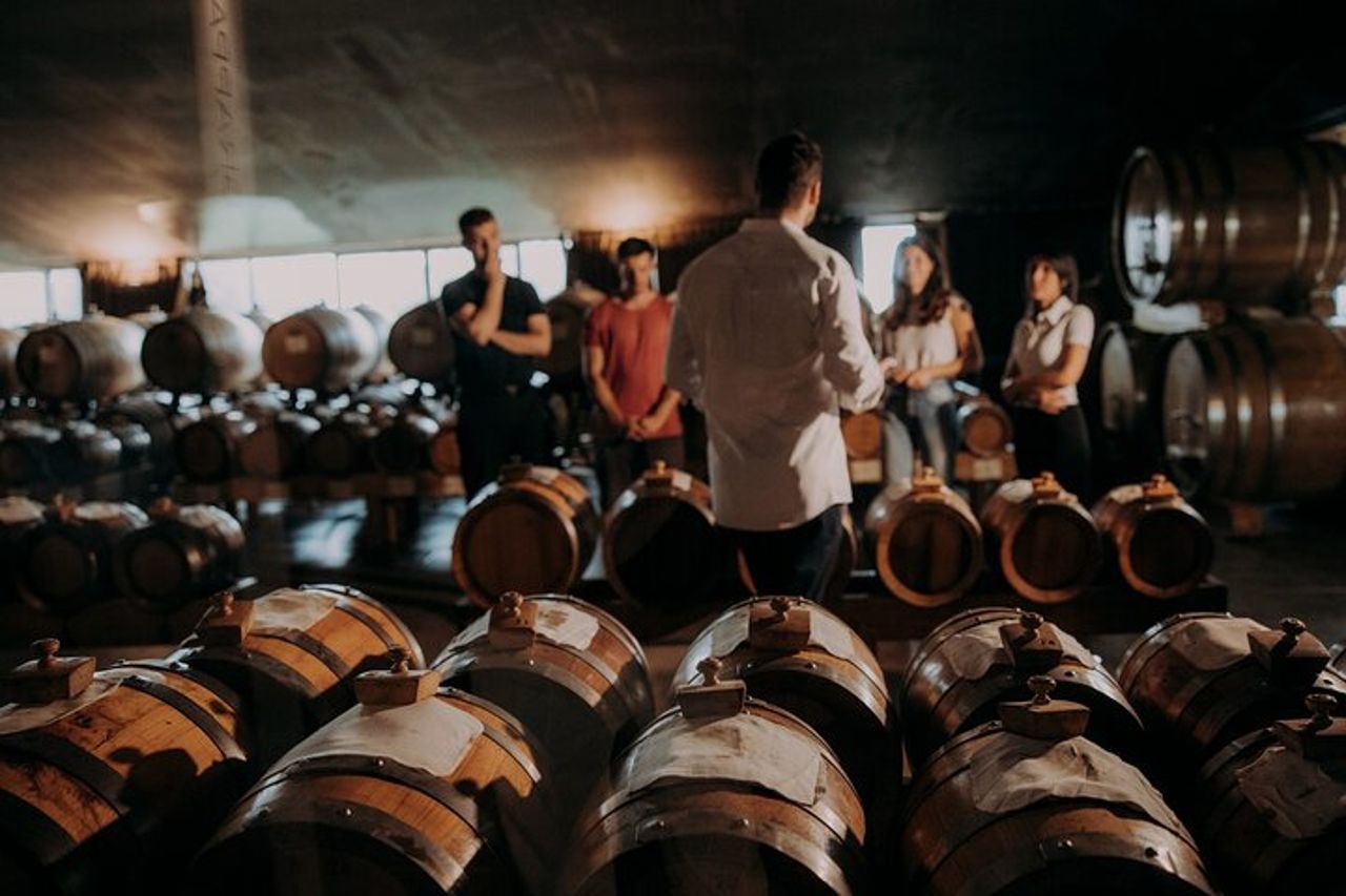 Visita in cantina e acetaia con degustazione prodotti. — 2