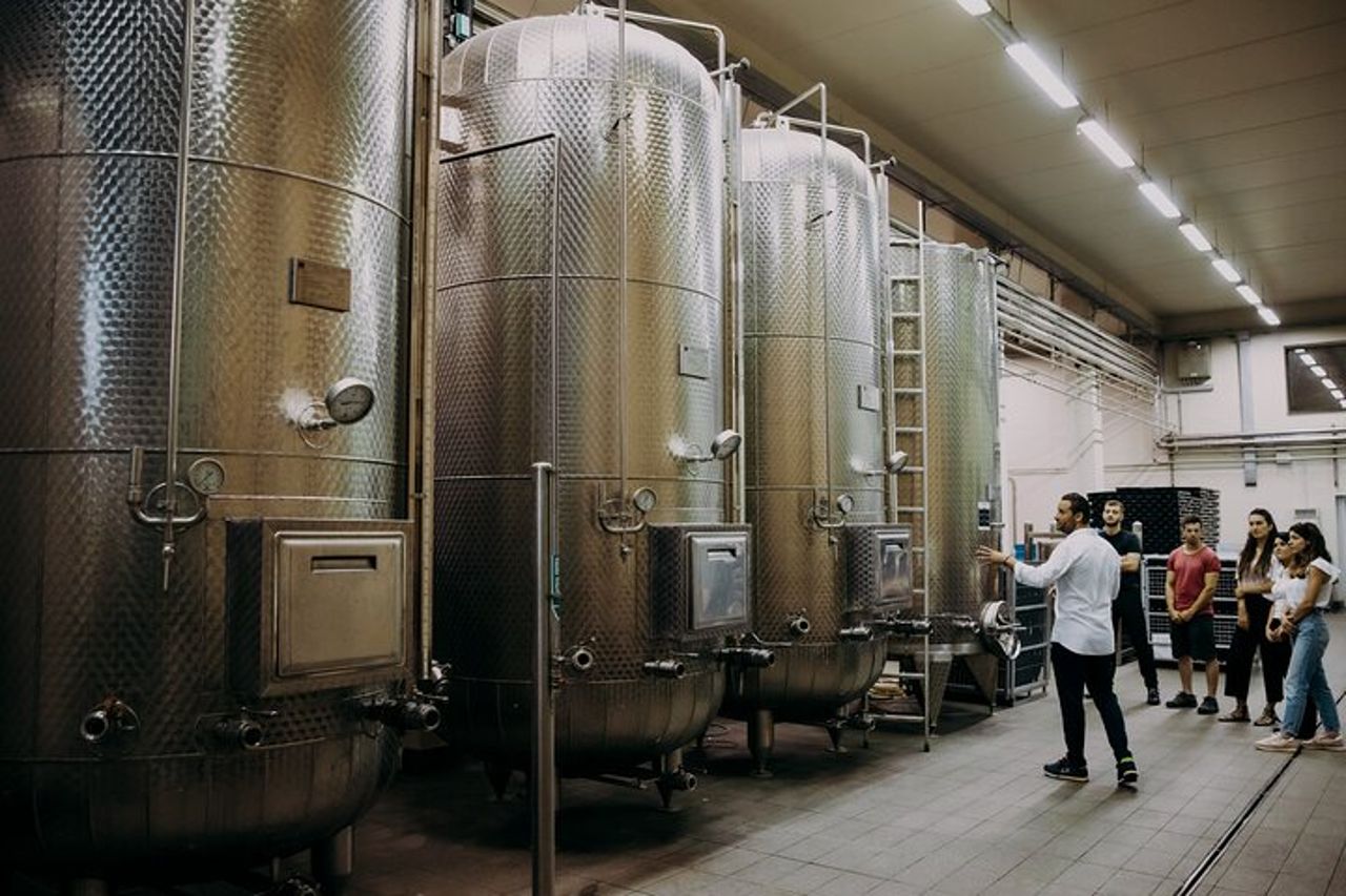 Visita in cantina e acetaia con degustazione prodotti. — 3