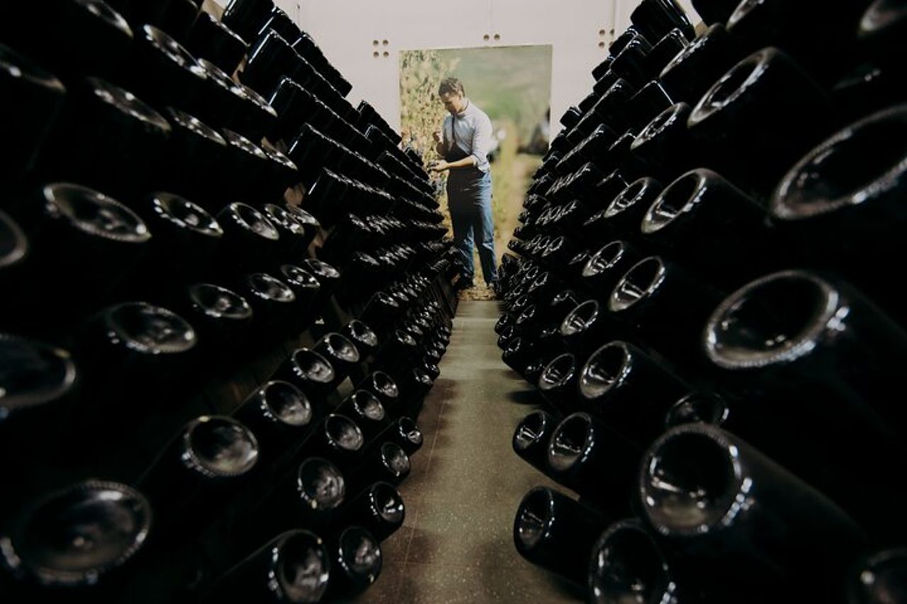 Visita in cantina e acetaia con degustazione prodotti. — 4