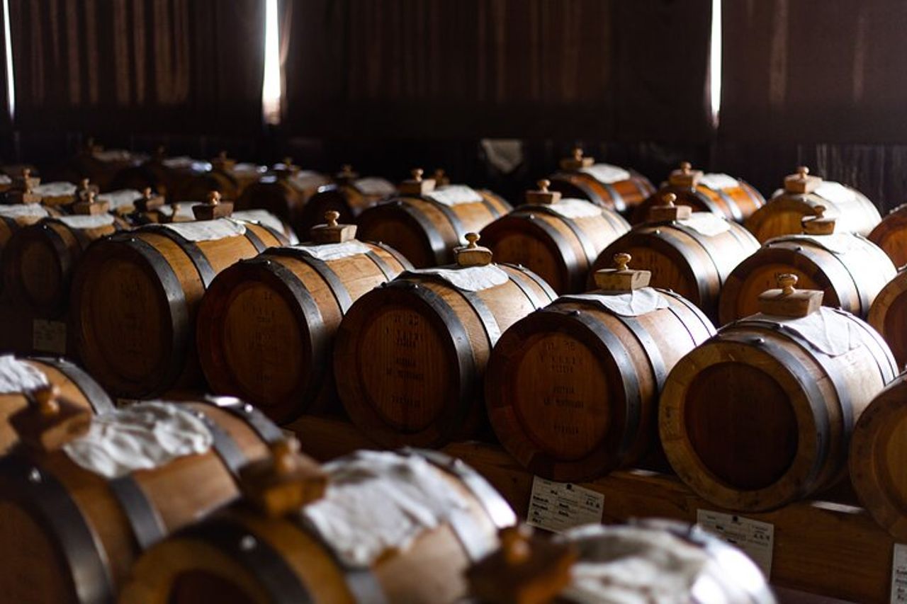 Visita in cantina e acetaia con degustazione prodotti. — 5
