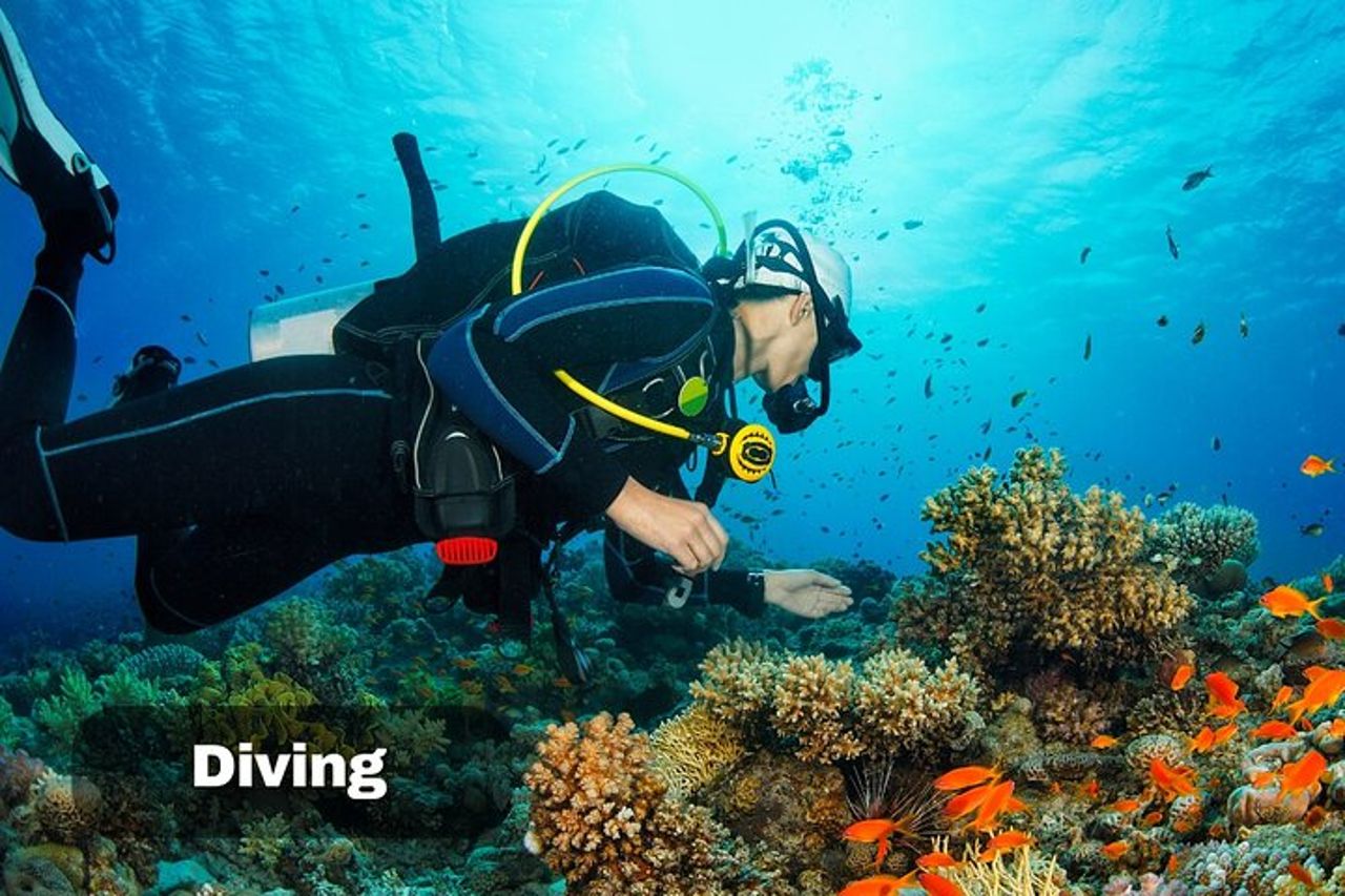 Giordania - Aqaba: Attività Sportive Acquatiche — 9