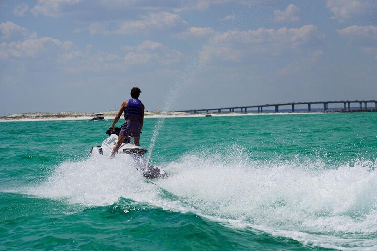 Tour dei delfini con moto d'acqua da 2 passeggeri dagli sport acquatici di Gilligan — 3
