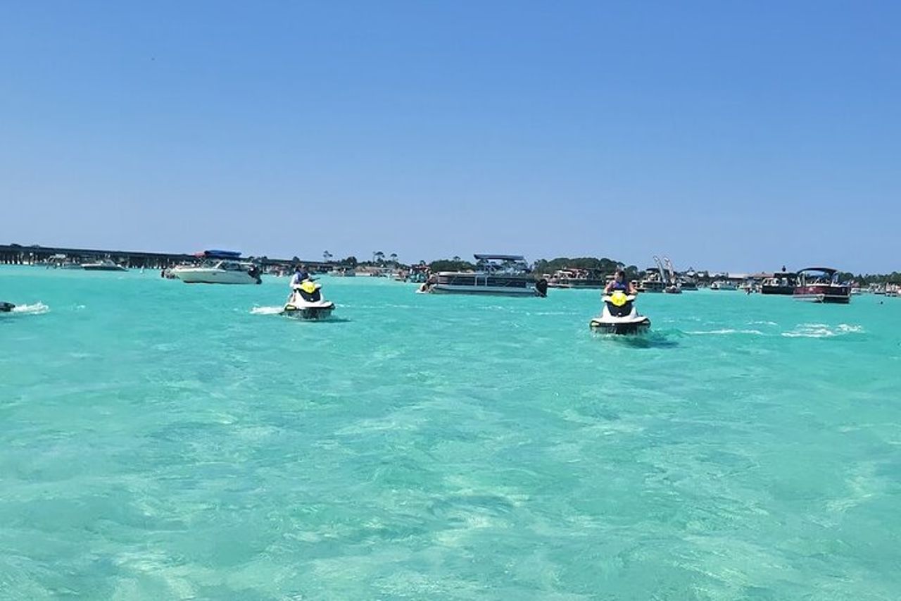 Tour dei delfini con moto d'acqua da 2 passeggeri dagli sport acquatici di Gilligan — 4