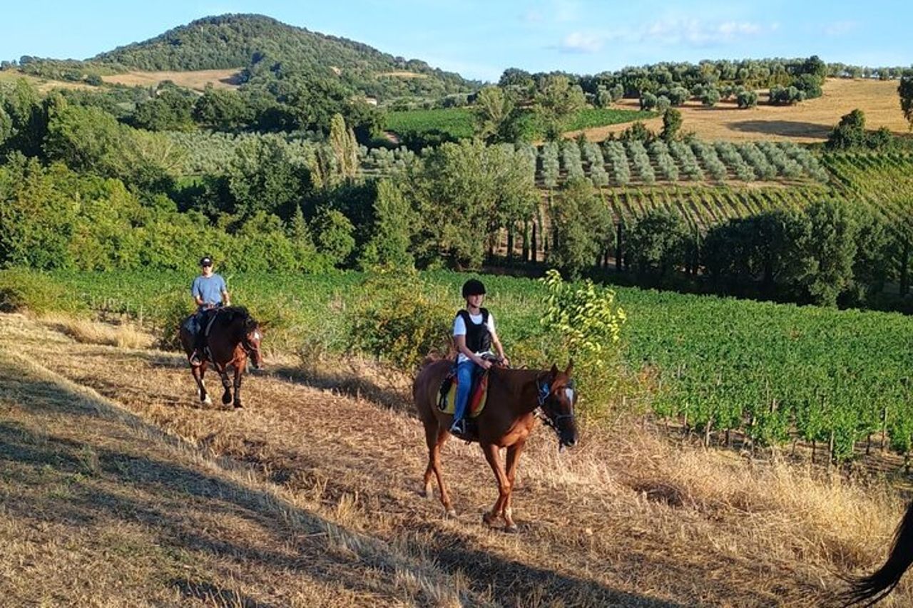 Passeggiata a cavallo tra le vigne a Montepulciano Toscana — 5