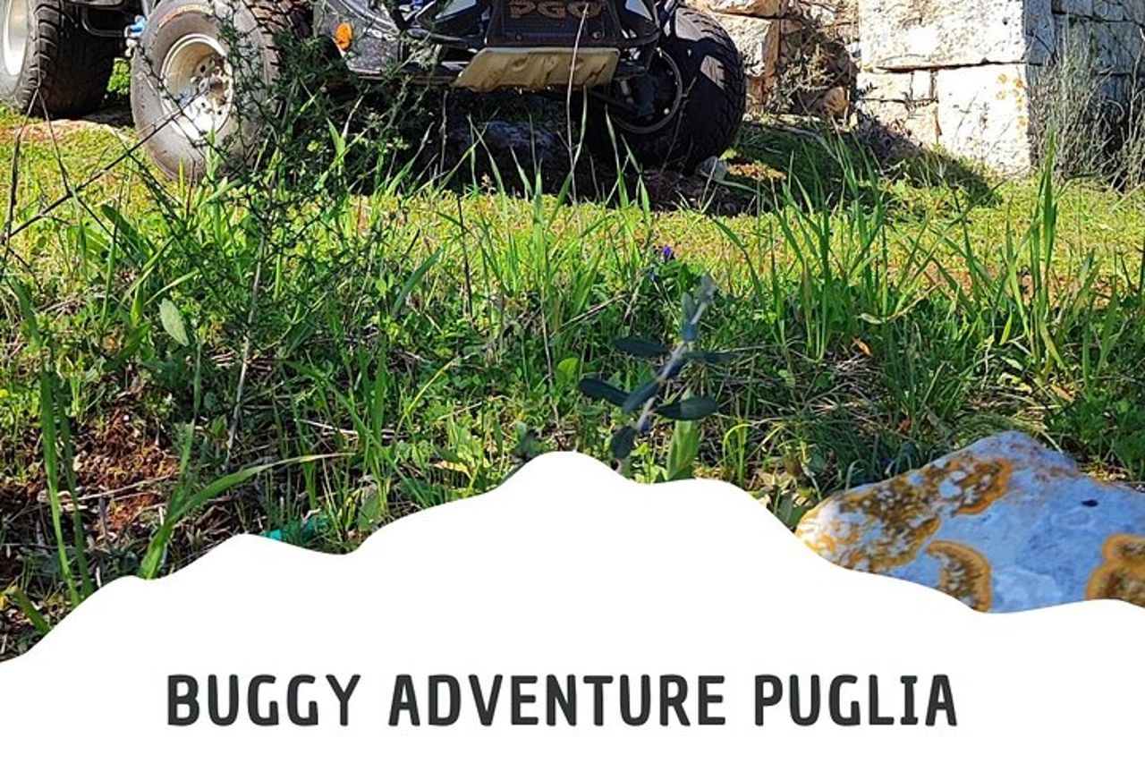 Tour in Buggy in Puglia vicino Alberobello Polignano a mare — 4