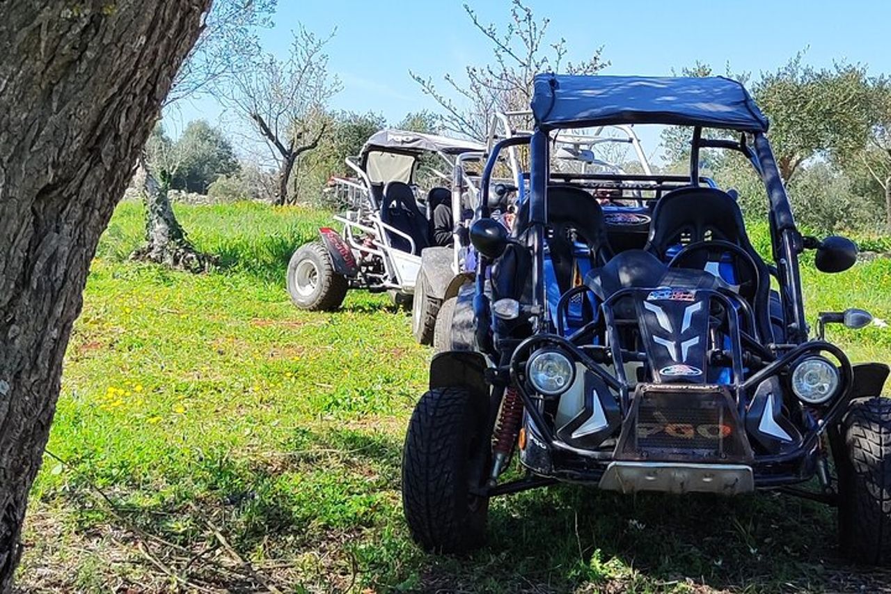Tour in Buggy in Puglia vicino Alberobello Polignano a mare — 6