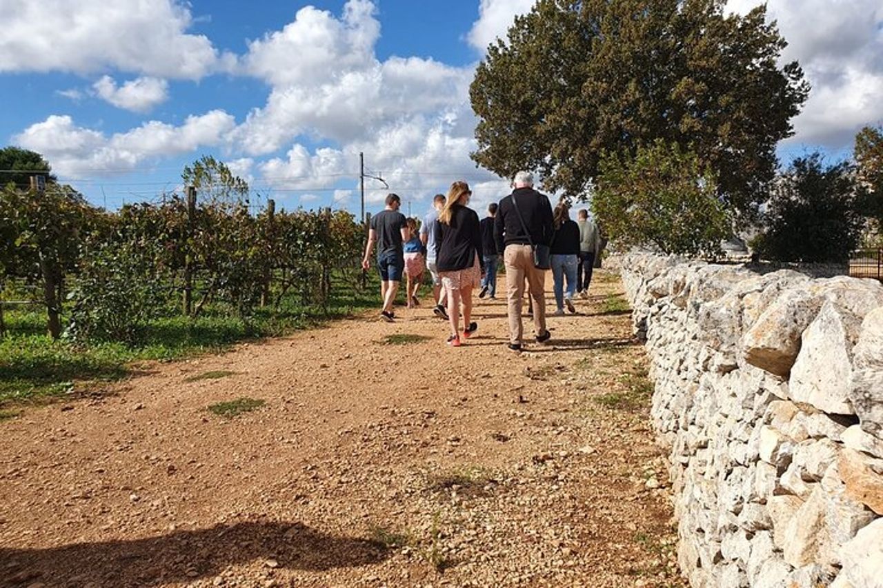 Trulli e Vino : Alberobello e Locorotondo Tour per Piccoli Gruppi — 3