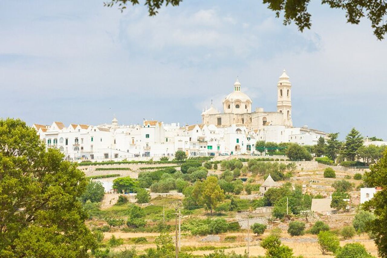 Trulli e Vino : Alberobello e Locorotondo Tour per Piccoli Gruppi — 6