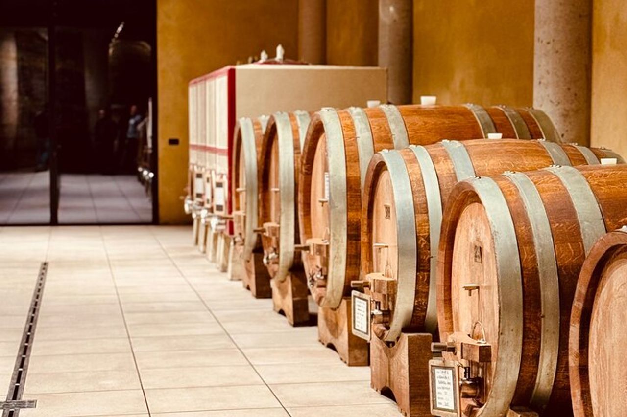 Tour enogastronomico delle Langhe - Un giorno con una Somm — 5