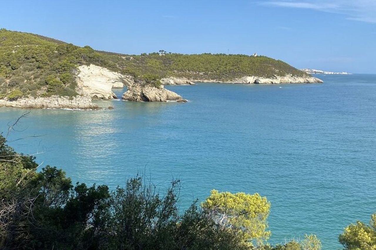 Tour Guidato In Barca Costa Del Gargano Grotte Baie Tradizione — 8