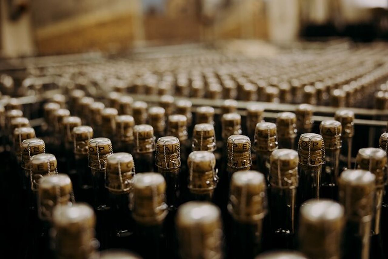 Visita in cantina e acetaia con degustazione prodotti. — 7
