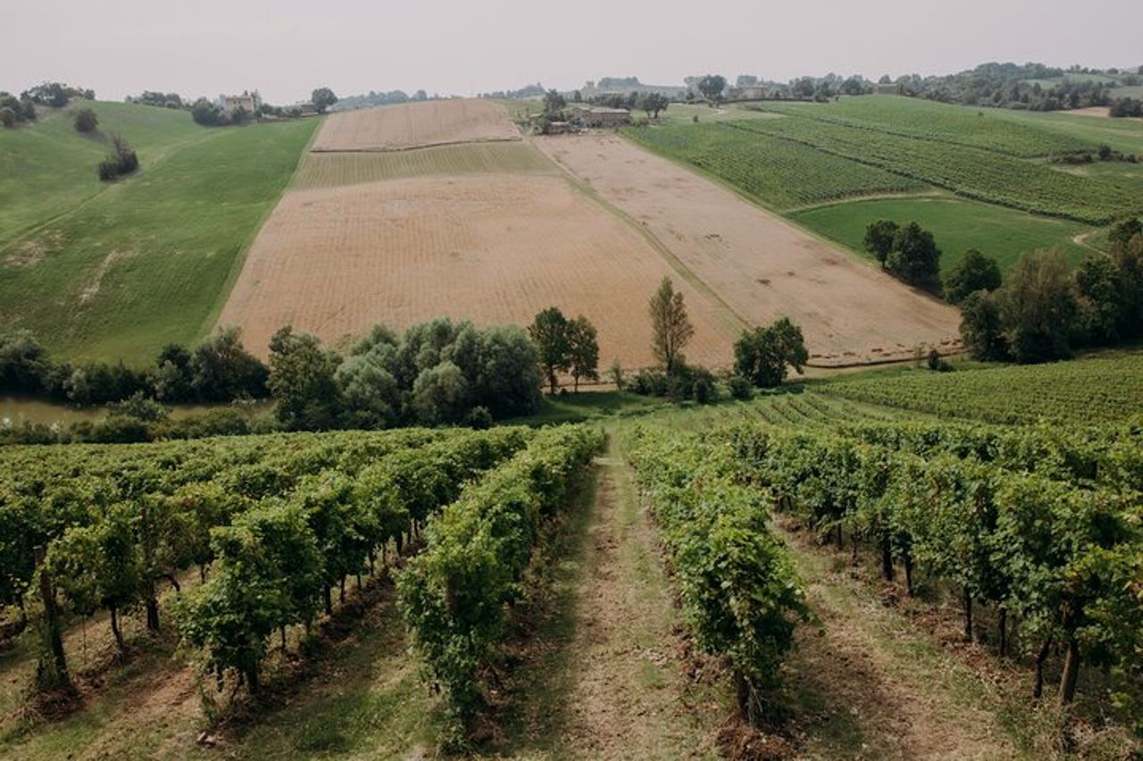 Visita in cantina e acetaia con degustazione prodotti. — 8
