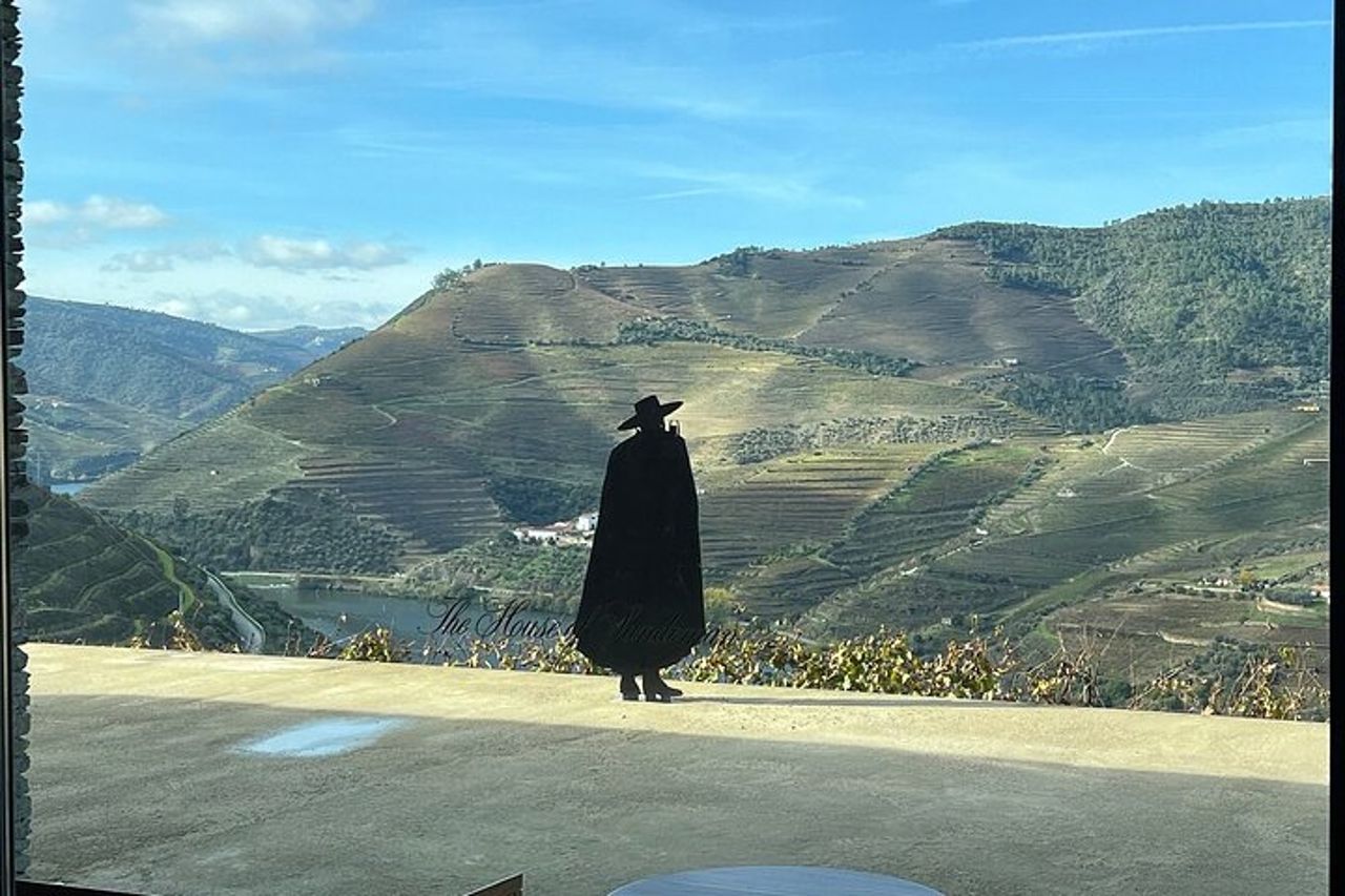 Tour di mezza giornata della Valle del Douro con cantina e pranzo da Porto — 6
