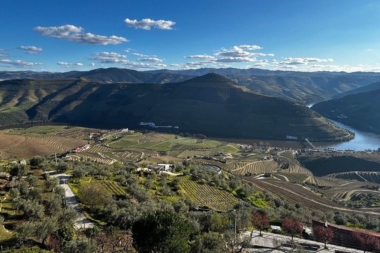 Tour di mezza giornata della Valle del Douro con cantina e pranzo da Porto — 7