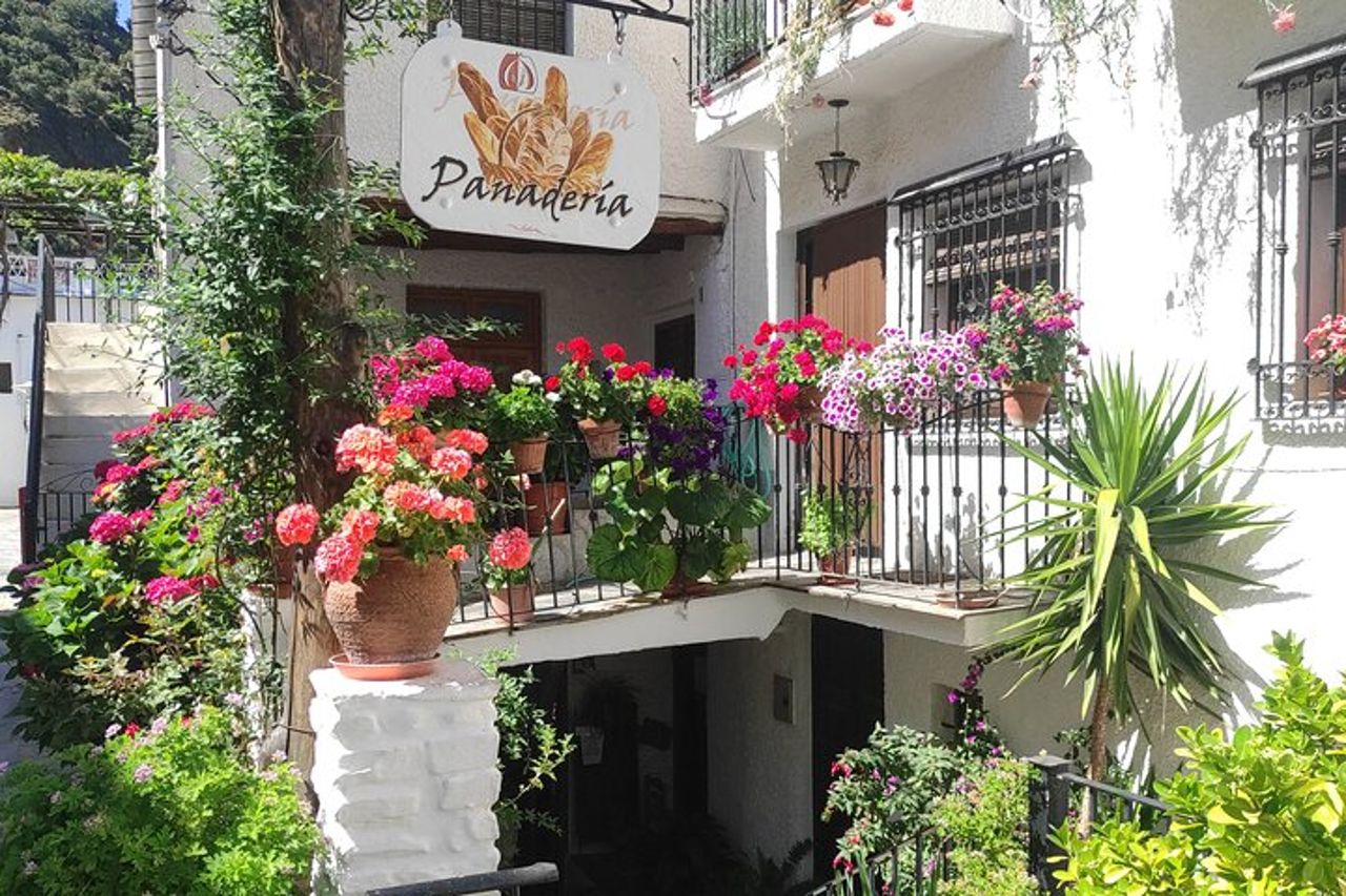 Gita di un giorno privata da Nerja — 7