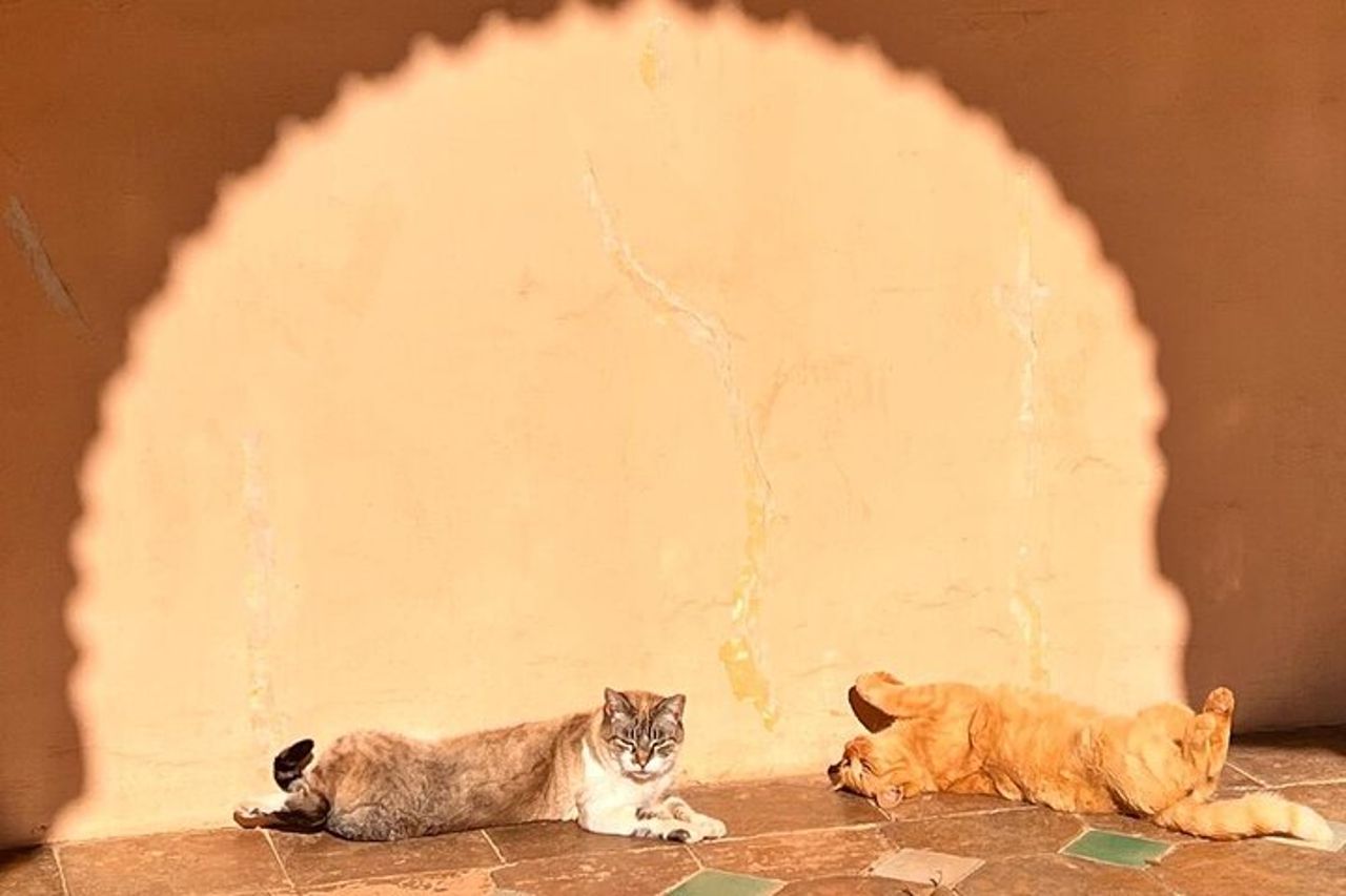 Escursione privata di un giorno all'Alhambra e Granada da Nerja — 5