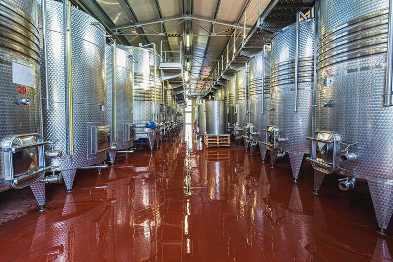 Degustazione Privata di Vini Biologici in Cantina a Mugliano — 9