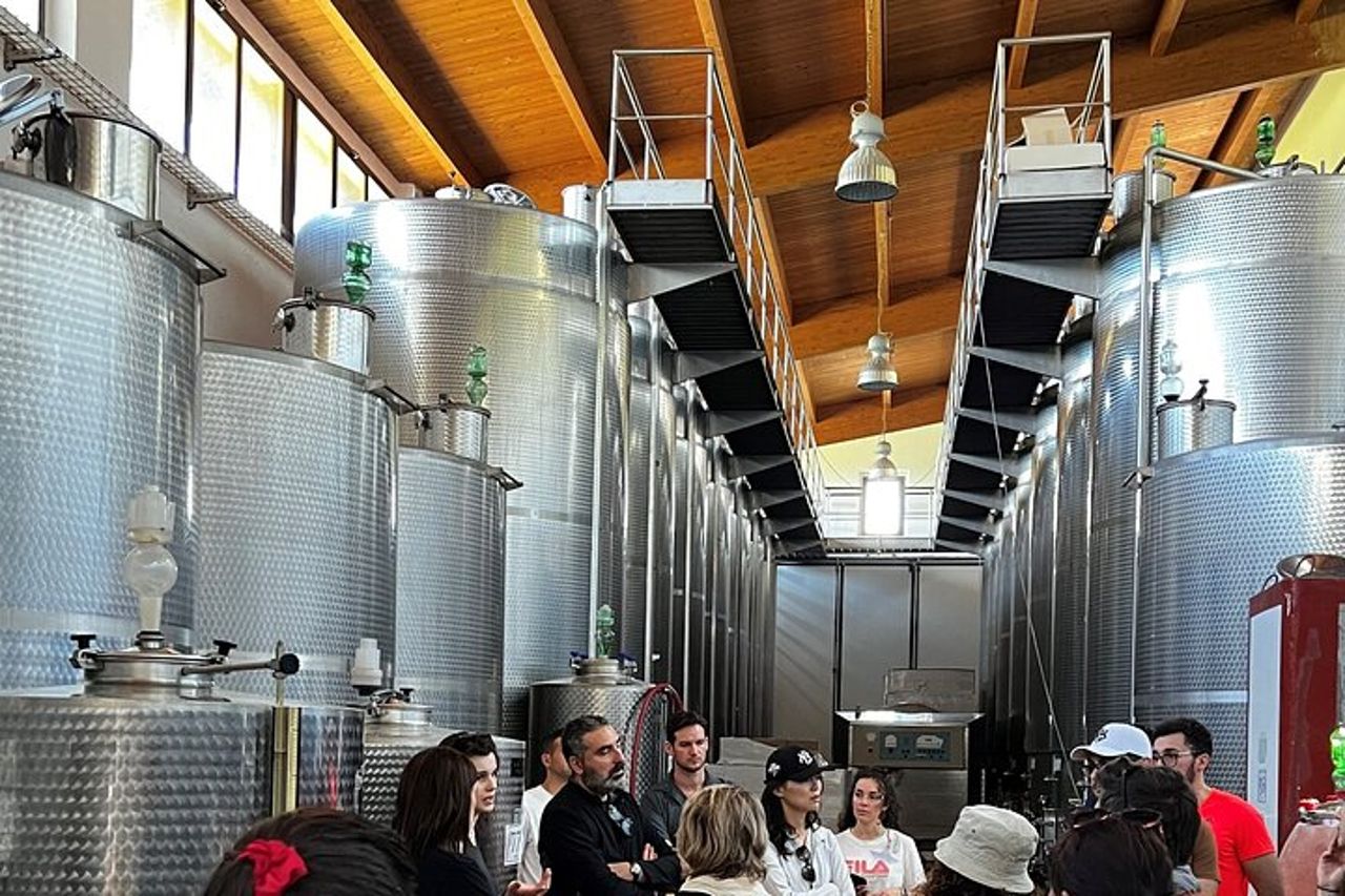 Tour e degustazione in cantina tra le colline del Chianti — 2