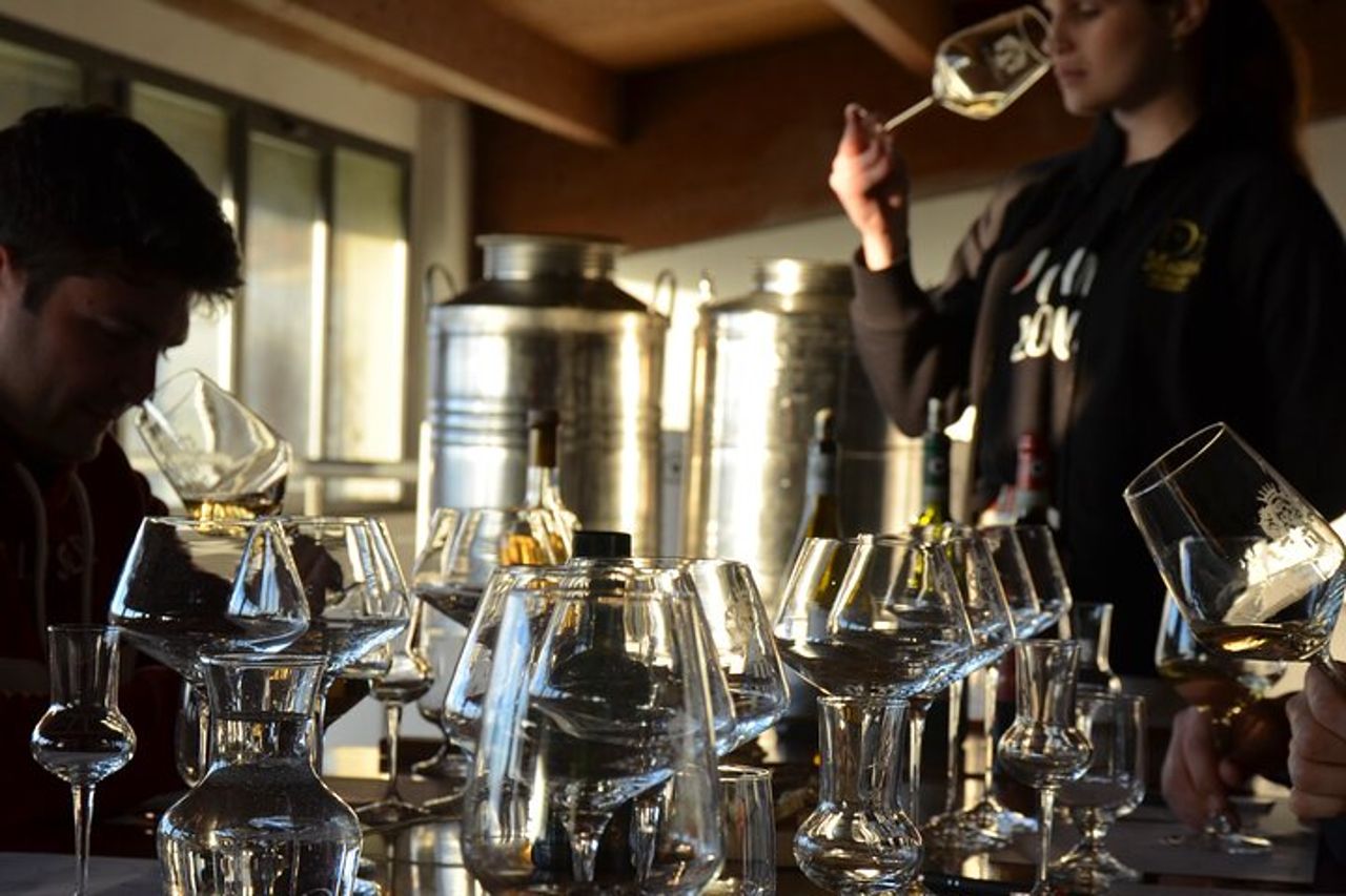 Tour e degustazione in cantina tra le colline del Chianti — 5