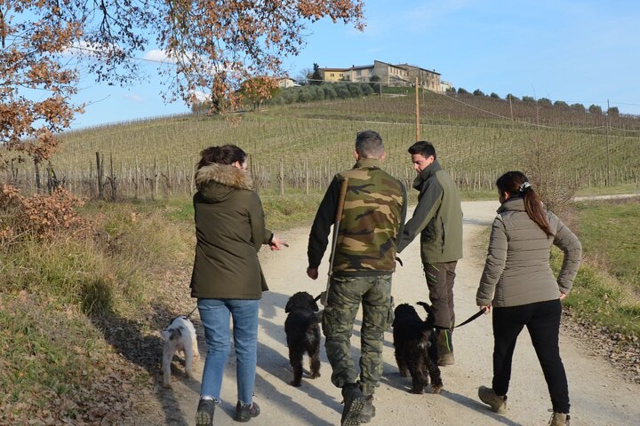 Ricerca tartufo pranzo con degustazione a Castellina in Chianti — 3