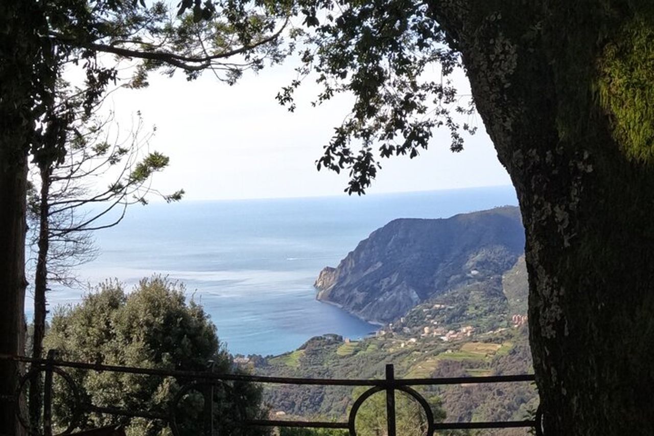 Tour in E-Bike alle Cinque Terre con Aperitivo in Agriturismo — 4
