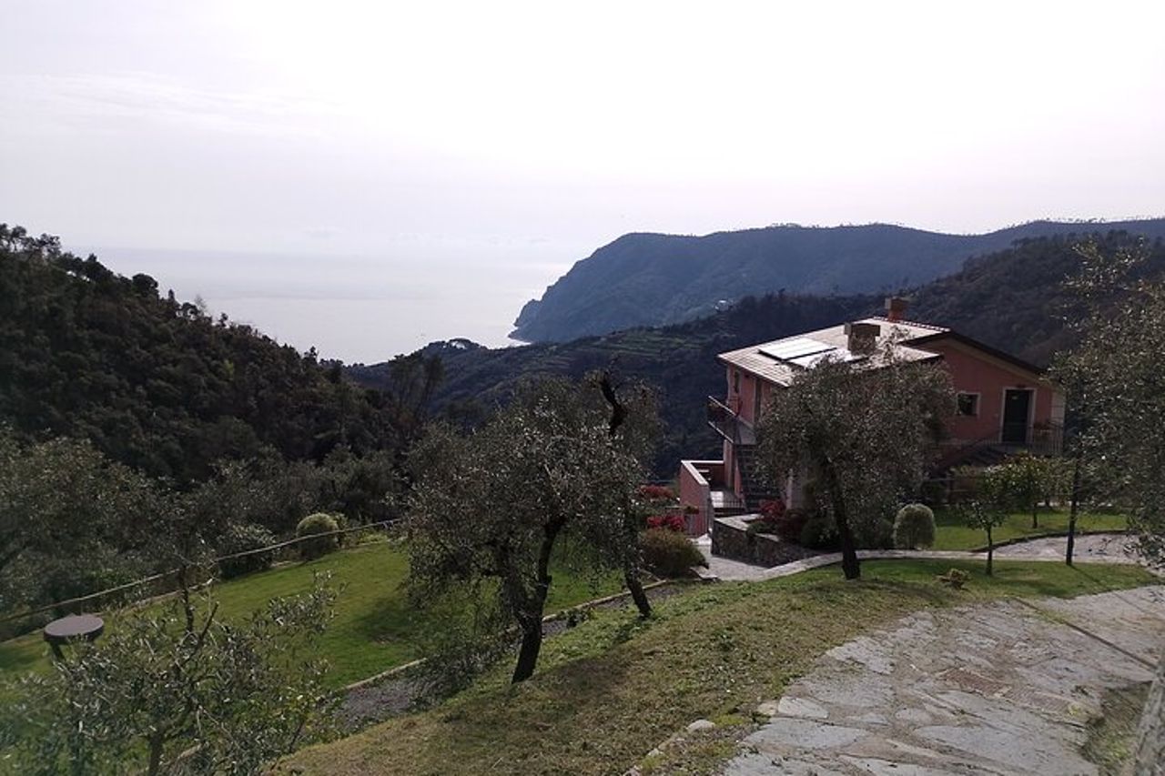 Tour in E-Bike alle Cinque Terre con Aperitivo in Agriturismo — 5