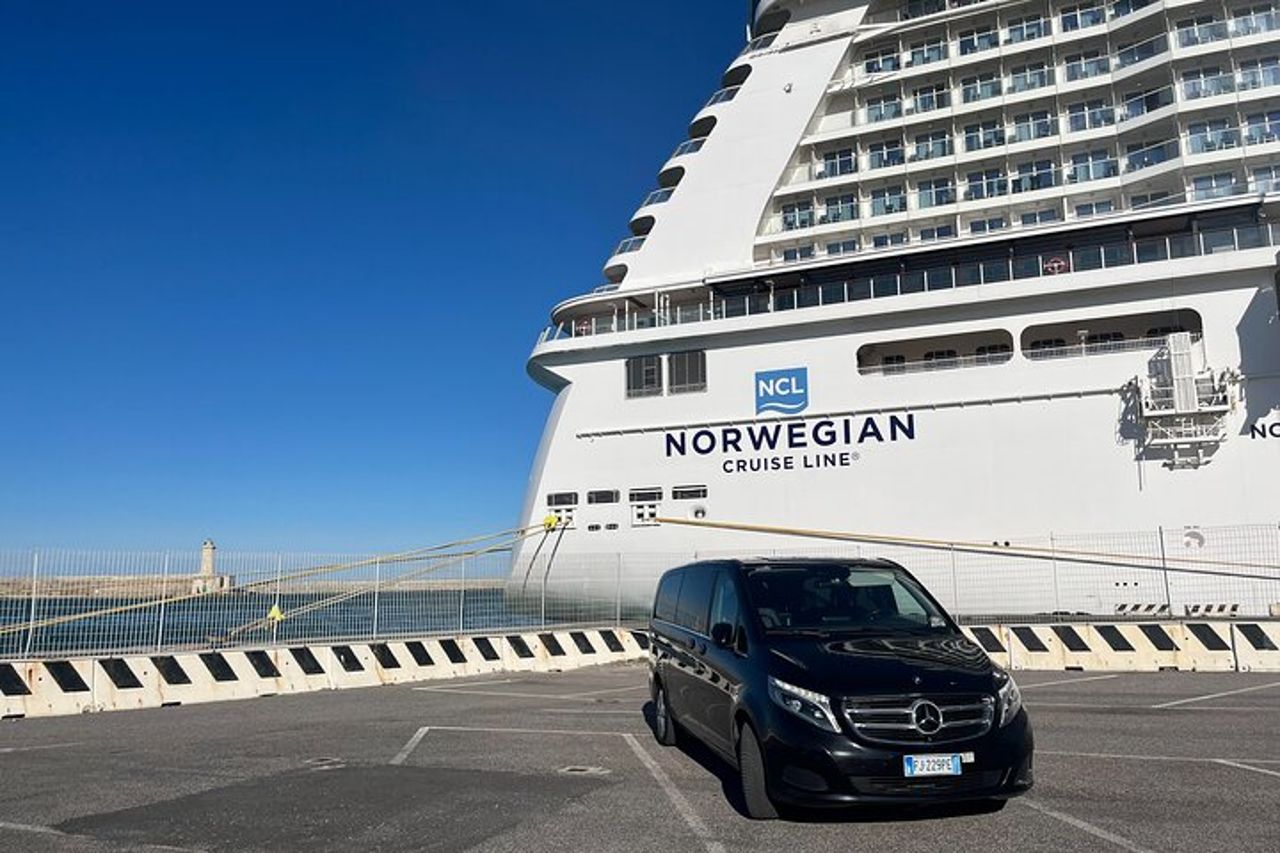 Tour privato di Pisa e Firenze dal porto di Livorno — 3